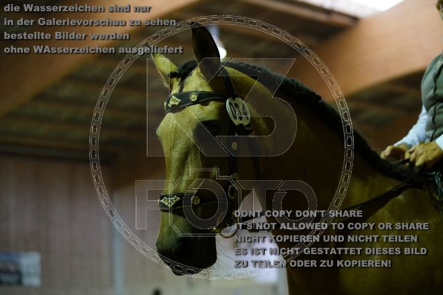 s_K3F06934.JPG